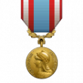 Fr africa medal.png