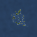Avn coral islands map.png