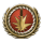 Award-firststrike.png