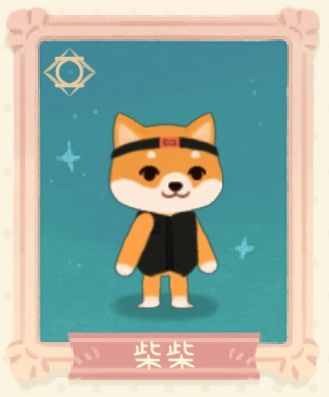 柴柴正面照.jpg