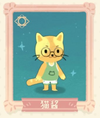 猫酱正面照.jpg
