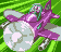 EXE6S144.png