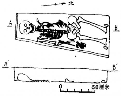 金嵌珍珠天球仪考据13.png