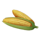 金穗长野望-农作物-玉米-大.png