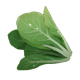 金穗长野望-农作物-白菜-大.png