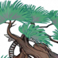四时树妖·夏.png