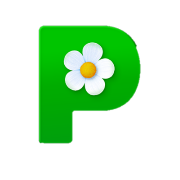 皮克敏