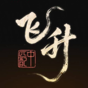 飞升匹配中