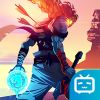 Deadcells icon.png