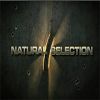 Naturalselection2 icon.png