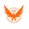 Thedivision2cn icon.png
