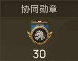 勋章 协同.jpg