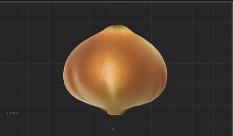 光滑的郁金香球根.png
