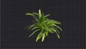 纤细的大叶藻根茎.png