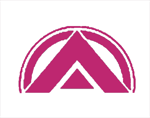 天火行动纵队.png