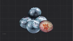 熟透的蓝莓果.png