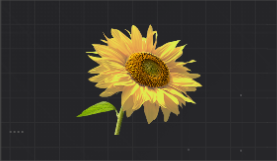 明媚的向日葵花.png