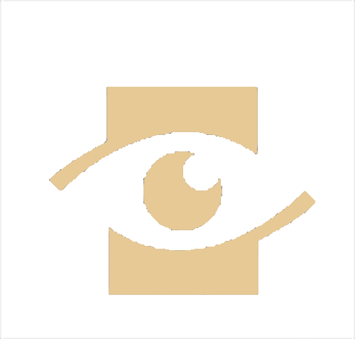 默林安保公司.png