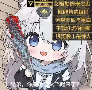 兄弟你怎么起飞了.png