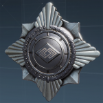 纪念 协助者战功勋章.png