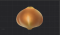 光滑的郁金香球根.png