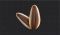 饱满的葵花籽.png