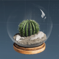 纪念 茁壮的沙漠生态球.png