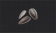 小巧的葵花籽.png