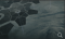 生态协同.png