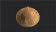椰子.png