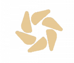 朱诺生态中心.png