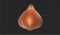 饱满的郁金香球根.png