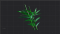 深绿色箬竹鞭.png