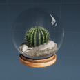 纪念 沙漠生态球.png