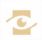 默林安保公司.png