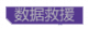 数据救援词条.png