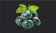 成串的蓝莓果.png
