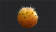饱满的仙人掌果.png