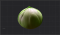 圆润的郁金香球根.png