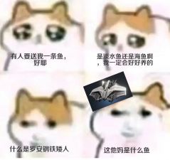 表情包-鱼.jpg