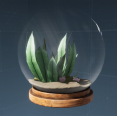 纪念 祥和的海洋生态球.png