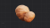结实的马铃薯.png