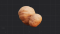 结实的马铃薯.png