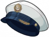 Accessory 331470.png