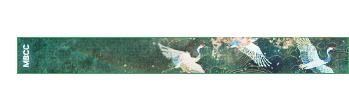 称号鹤唳青霄.png