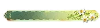 称号映刻我形.png