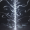 至暗之光icon.png