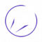 诺玛枷锁同步Ⅰ.png