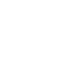 T Module Weapon Gemini.png