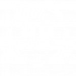 T BattlePassIcon.png